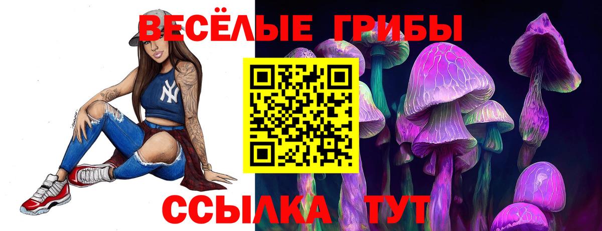 Галлюциногенные грибы GOLDEN TEACHER  Вход с VPN  Псилоцибиновые грибы ЛСД  Тверь 