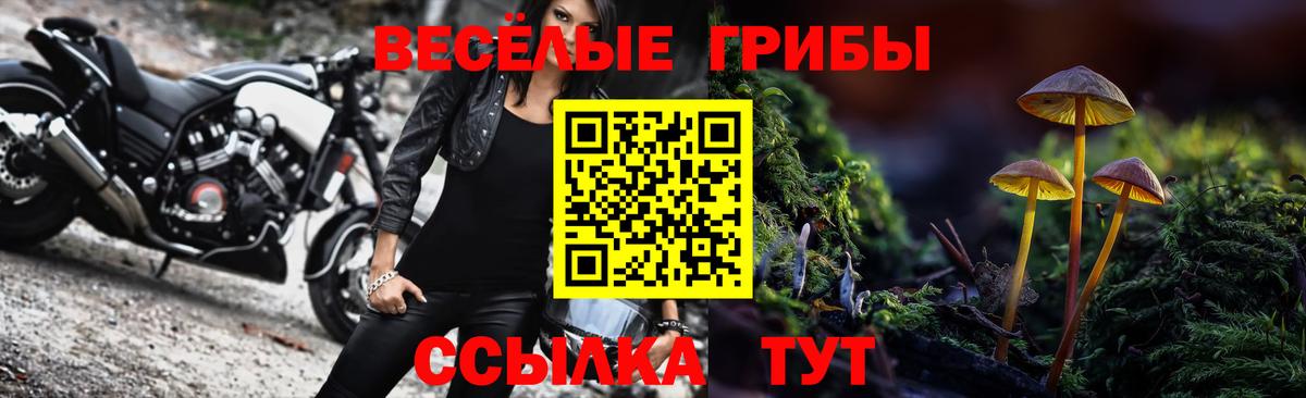 Галлюциногенные грибы Magic Shrooms Тверь